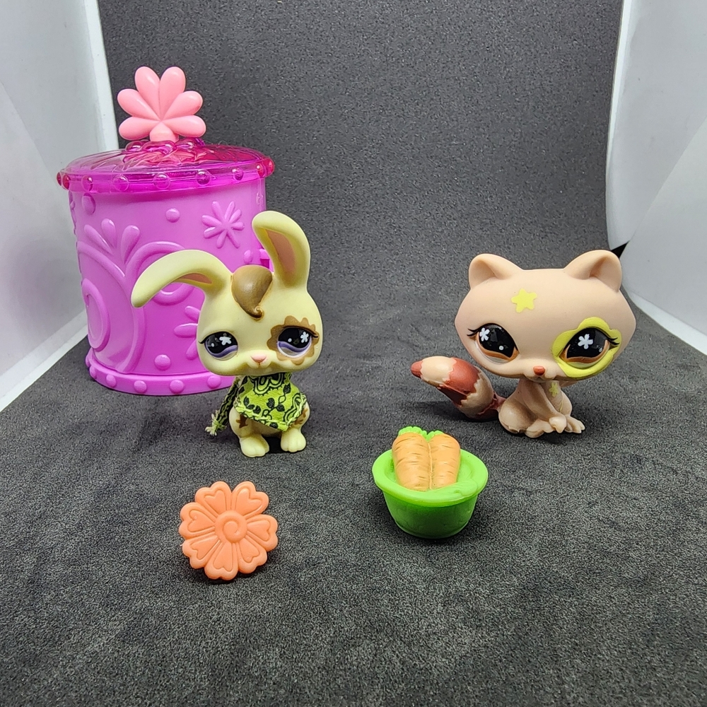 Raccoon And Bunny Set